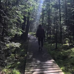 Meet your Posher, Rachel